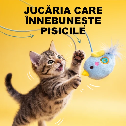 Jucărie Automată pentru Pisici Yo-Yo Electric cu Pană, Mișcare Aleatorie, Încărcare USB